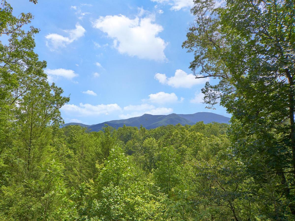 Dew South Villa Gatlinburg Dış mekan fotoğraf